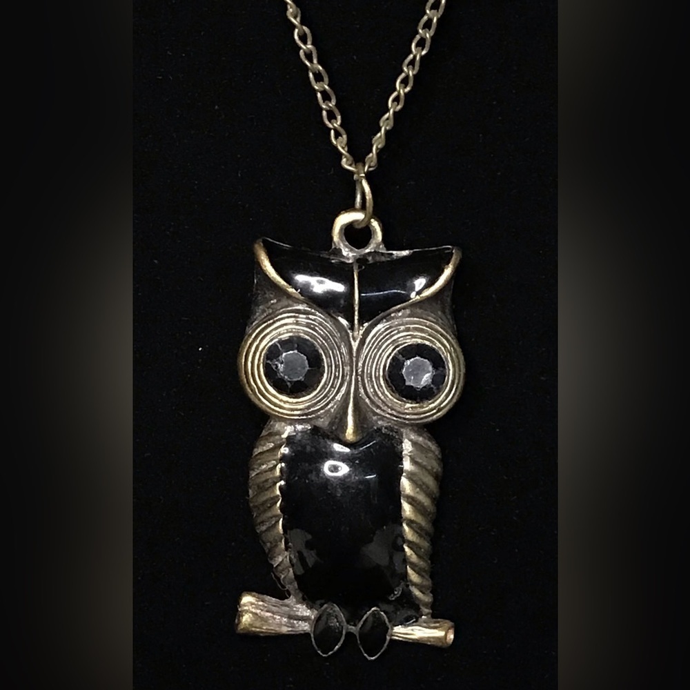 Owl Charm Long Costume Necklace